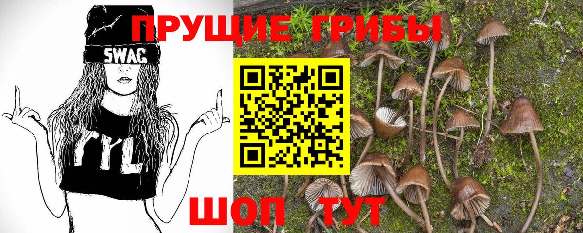 Псилоцибиновые грибы ЛСД Янаул