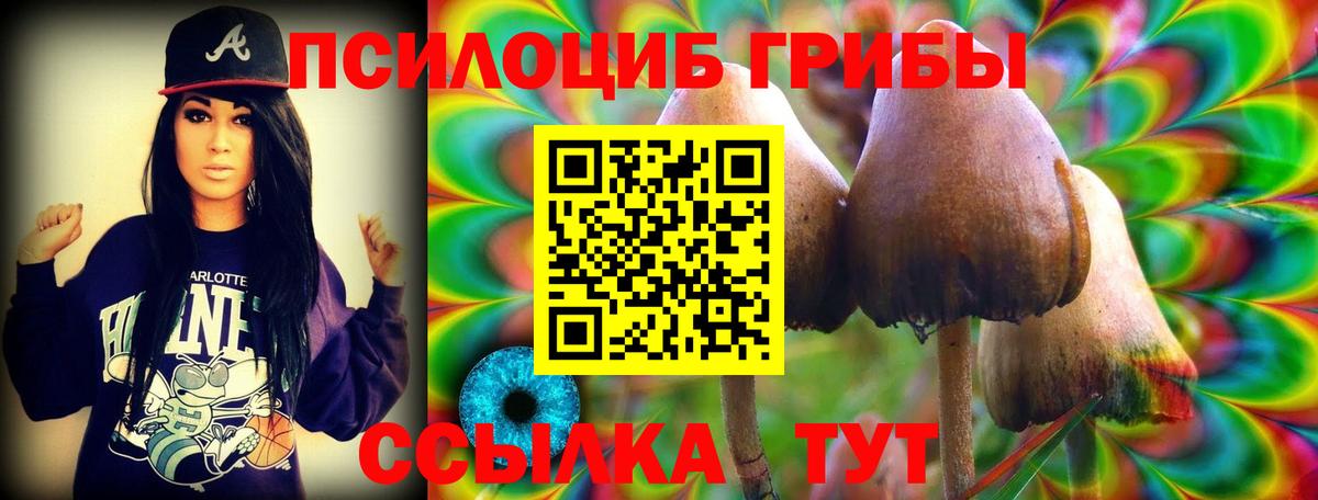 Псилоцибиновые грибы прущие грибы  Галлюциногенные грибы мицелий  Янаул  Вход с VPN 